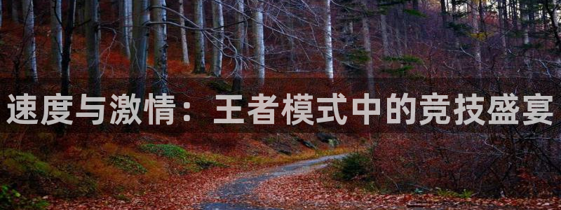 飞速看球直播：速度与激情：王者模式中的竞技盛宴