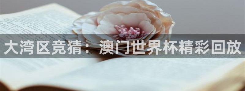 飞速nba直播在线观看：大湾区竞猜：澳门世界杯精彩回放