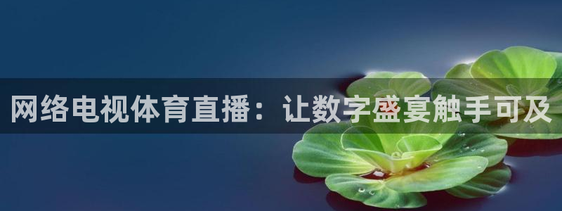 飞速体育直播安卓最新厅.发布新版.org：网络电视体育直播：让数字盛宴触手可及