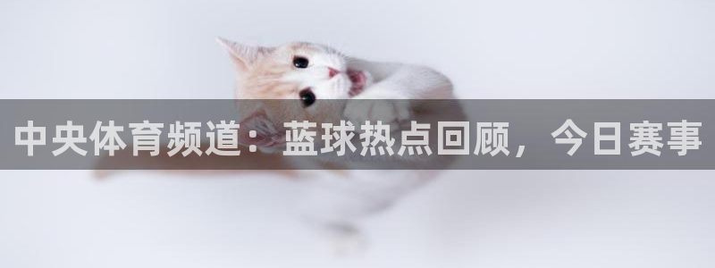 飞速篮球直播：中央体育频道：蓝球热点回顾，今日赛事