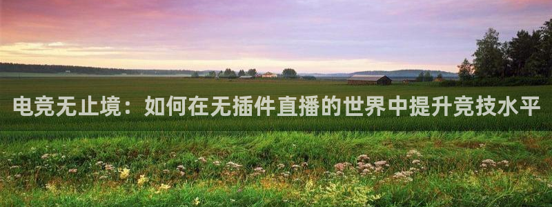飞速看球：电竞无止境：如何在无插件直播的世界中提升竞技水平