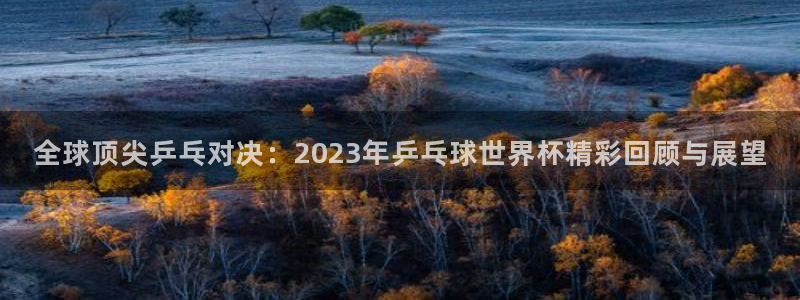 nba飞速直播无插件：全球顶尖乒乓对决：2023年乒乓球世界杯精彩回顾与展望