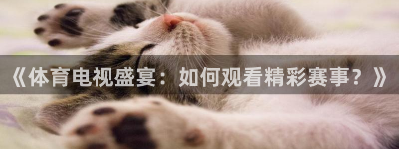 nba无插件直播飞速体育直播：《体育电视盛宴：如何观看精彩赛事？》