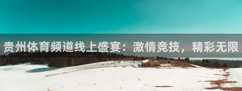 飞速体育直播全面更新升级.网站玩.org：贵州体育频道线上盛宴：激情竞技，精彩无限