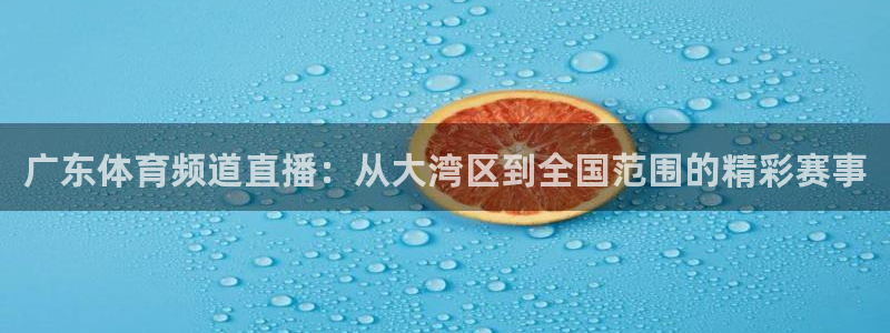 飞速nba直播吧：广东体育频道直播：从大湾区到全国范围的精彩赛事