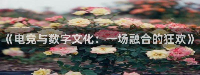 飞速直播nba免费直播在线观看高清：《电竞与数字文化：一场融合的狂欢》
