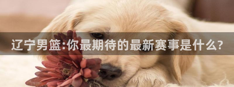 飞速体育在线直播nba：辽宁男篮:你最期待的最新赛事是什么?