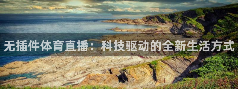 飞速体育直播nba免费观看：无插件体育直播：科技驱动的全新生活方式